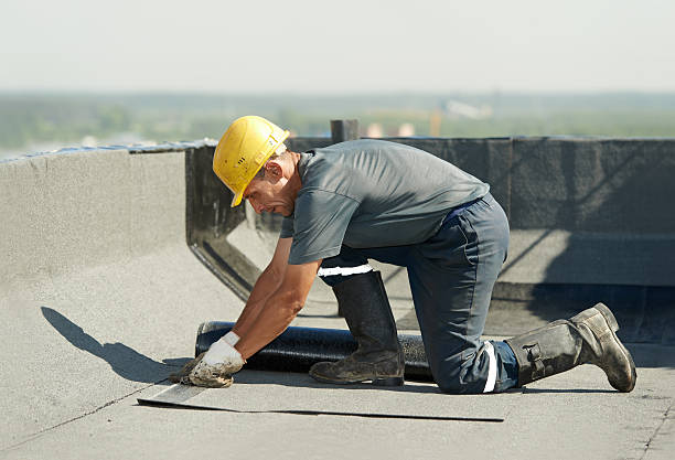 Best Geographic-Specific Insulation Services in Huntsville, TX